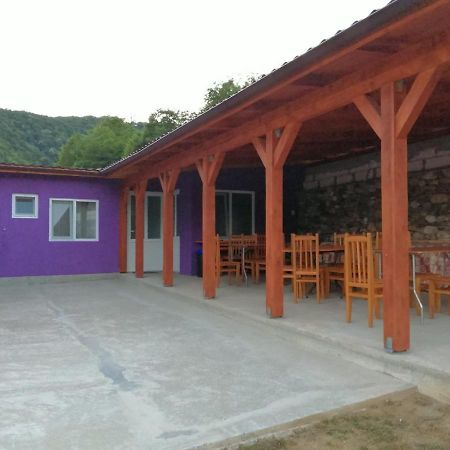 Telteu Florian Hotel Dubova Bagian luar foto