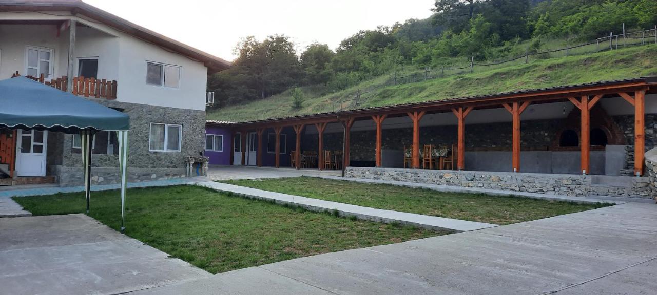 Telteu Florian Hotel Dubova Bagian luar foto