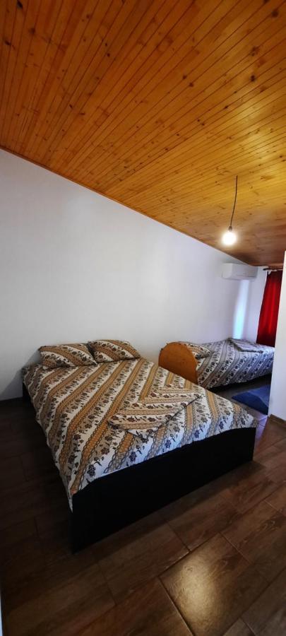 Telteu Florian Hotel Dubova Bagian luar foto