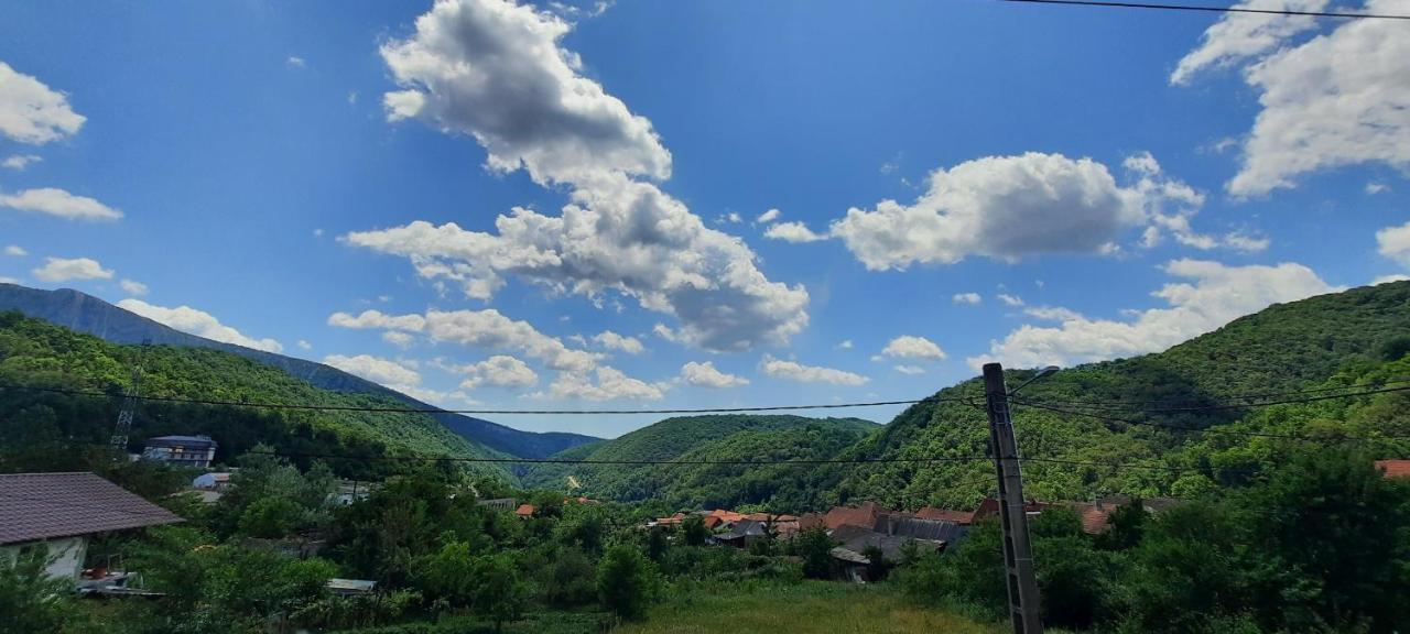 Telteu Florian Hotel Dubova Bagian luar foto
